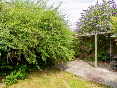 Picture 15